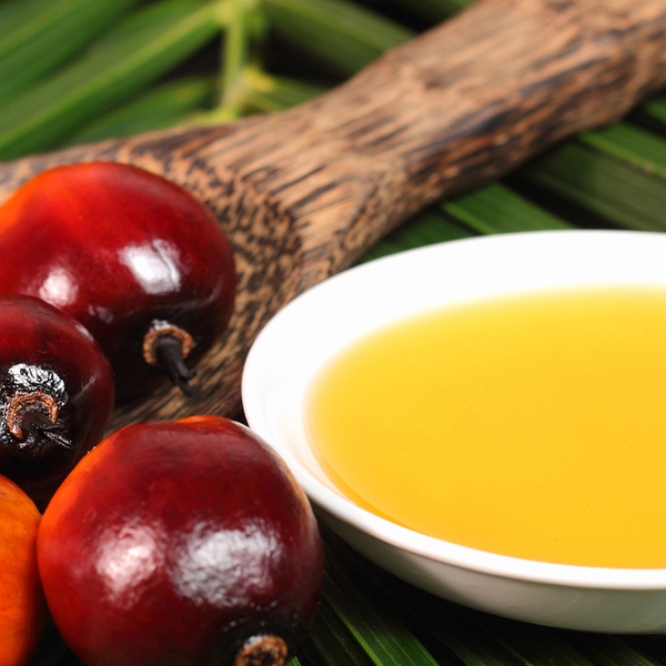 The Health Aspect Of Palm Oil